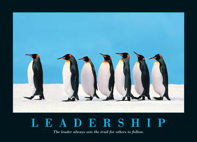 Penguin_leadership